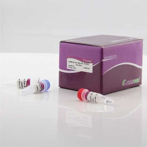 RT-PCR Kit, FastKing One Step RT-PCR Kit, GKR123, 50µl x 50 rxn