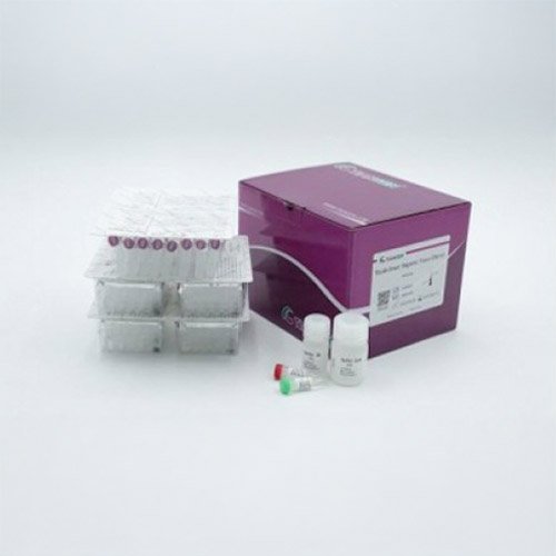 Extraction Kit, TGuide Smart Viral DNA/RNA Kit, DP604-E, 96 preps