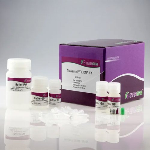 Extraction Kit, TIANamp FFPE DNA Kit, DP331-02, 50 preps