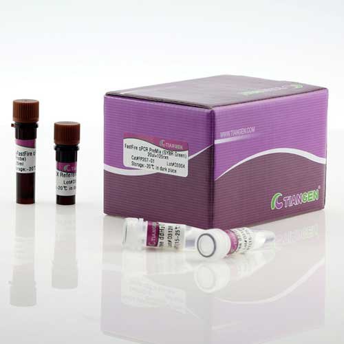 qPCR Probe Mix, FastFire qPCR PreMix, GFP208-02, 20µl x 500 rxn