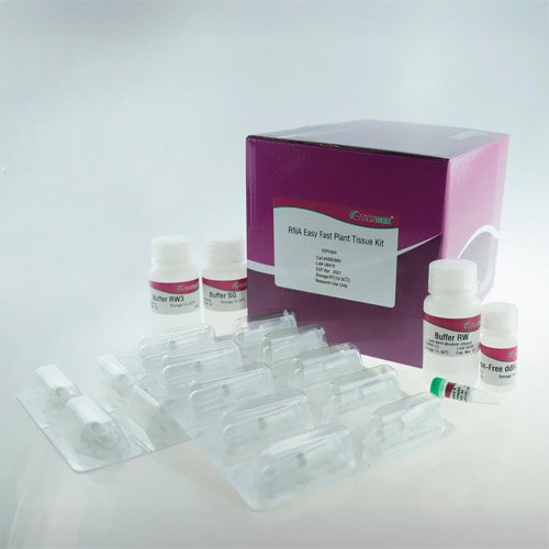 Extraction Kit, RNA Easy Fast Plant Tissue Kit, DP452, 50 preps